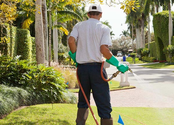 About Berlin Heights OH Pest Control